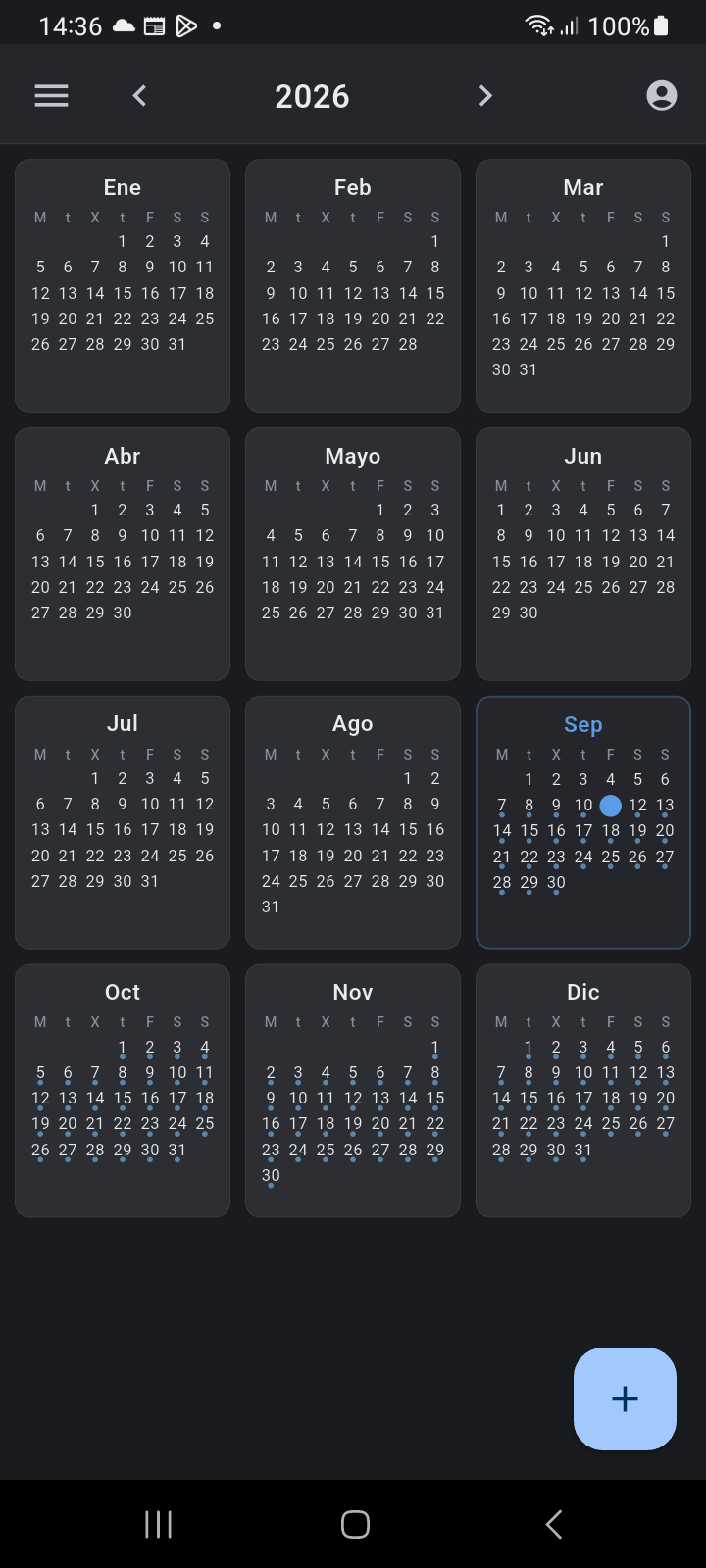 Cuadrícula de la Vista Anual de 12 Meses de Ancora Planner