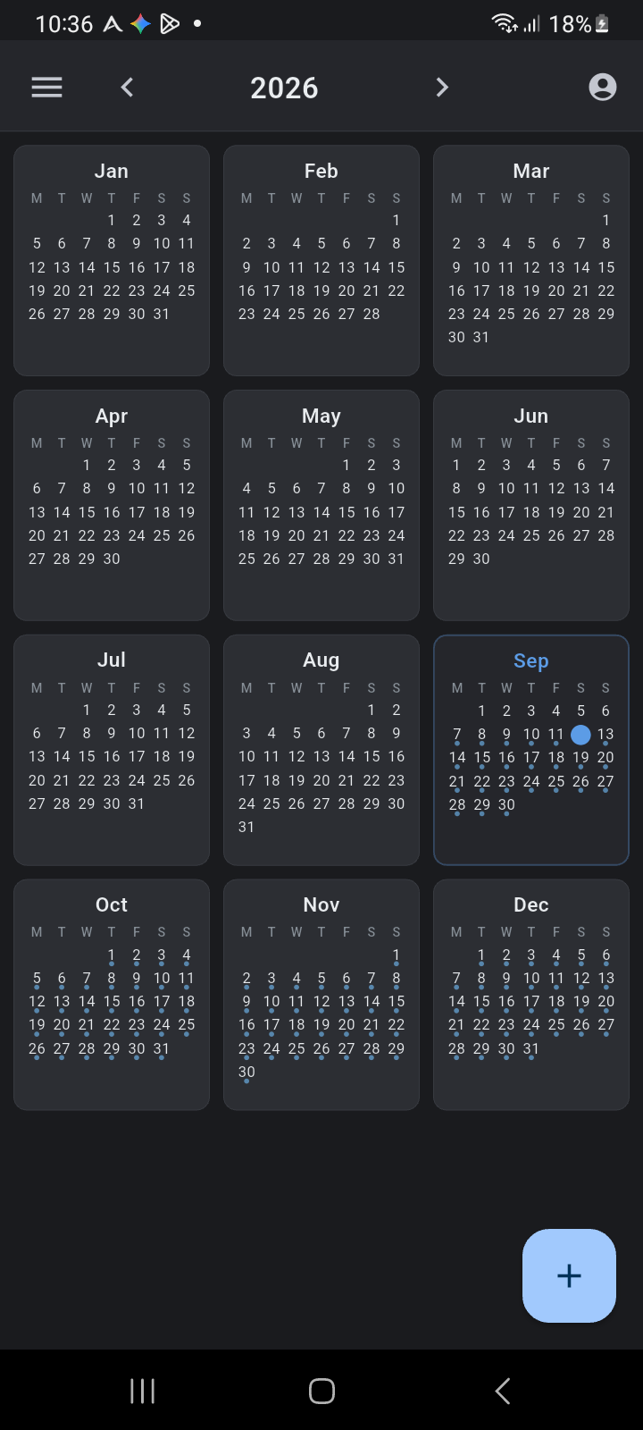 Ancora Planner 12-Month Year View Grid