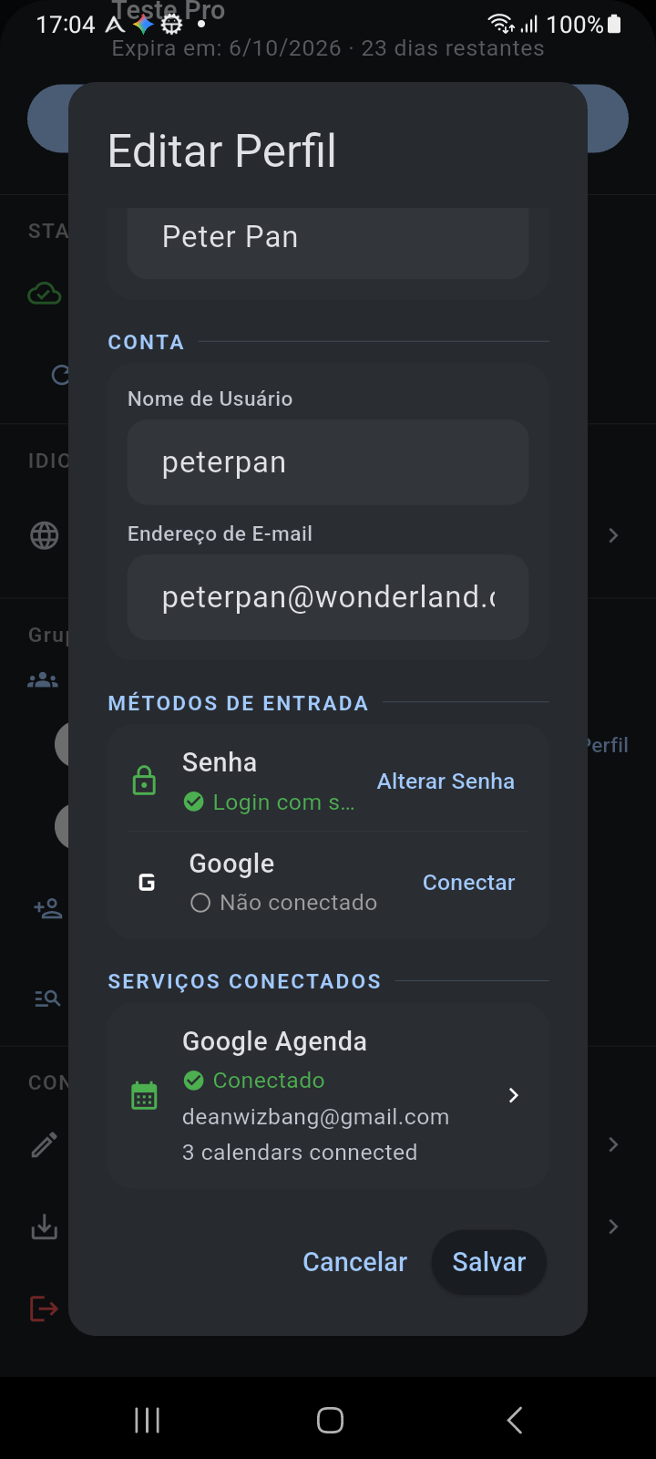 Caixa de diálogo Editar Perfil exibindo Serviços Conectados e o bloco de integração do Google Calendar